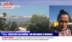 Incendie à Rognac: "Une cellule de crise" a été déclenchée à la mairie, annonce la maire Sylvie Miceli-Houdais (UDI)