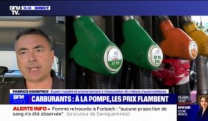 Hausse des prix des carburants: "Ça devient vraiment insupportable pour les automobilistes", estime Fabrice Godefroy (40 millions d’automobilistes)