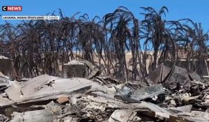 Incendies à Hawaï - Une ressortissante française témoigne sur CNews