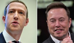 Un combat de MMA entre Elon Musk et Mark Zuckerberg ?