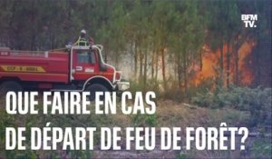 Que faire en cas de départ de feu de forêt cet été?