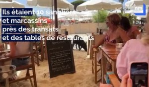 Une "famille nombreuse" de sangliers amuse les touristes sur une plage de Ramatuelle
