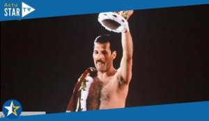 Freddie Mercury  cette vente aux enchères organisée par l’amour de sa vie pourrait rapporter très g