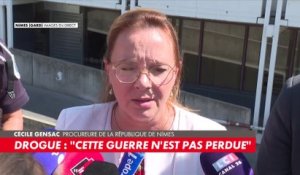 Cécile Gensac : «À défaut d'un cap franchi sur la violence, je dirai qu'il y a un cap franchi sur l'idiotie»