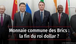 Monnaie commune des Brics : la fin du roi dollar ?