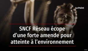 SNCF Réseau écope d’une forte amende pour atteinte à l’environnement