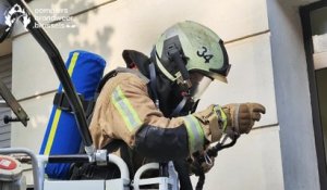 Incendie rue des Alliés à Forest: "l'excellent réflexe" d'une mère de famille