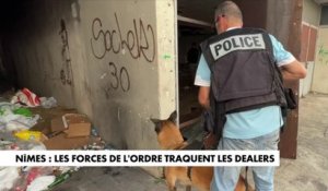 Nîmes : les forces de l'ordre traquent les dealers
