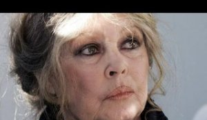 Brigitte Bardot évoque comme jamais sa relation avec ses arrières petits-enfants