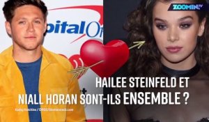 Hailee Steinfeld sort (probablement) avec Niall Horan