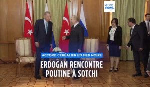Accord céréalier en mer Noire : Vladimir Poutine "ouvert aux discussions"