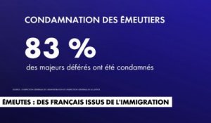 Emeutes : une majorité de Français issus de l'immigration