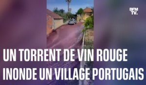 Portugal: les images impressionnantes d’un torrent de vin rouge inondant un village