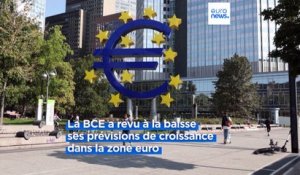 Lutte contre l'inflation : la Banque centrale européenne relève encore une fois ses taux directeurs