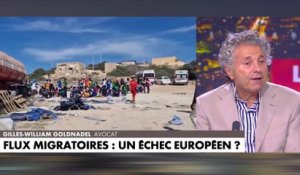 Gilles-William Goldnadel : «Aujourd'hui, les habitants de Lampedusa sont moins nombreux que les immigrés»