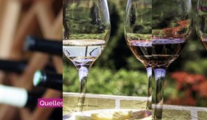 Aldi lance sa foire aux vins d’automne: voici les 5 bouteilles à acheter, selon des experts en vin