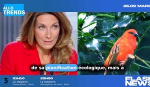 "Anne-Claire mise à mal : Bertrand Chameroy se moque de son interview d’Emmanuel Macron dans 'C à vous' !"