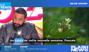 OK. "TPMP : Cyril Hanouna se blesse dans l'affaire Stéphane Plaza !"