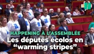À l'Assemblée nationale, les députés écolos s'affichent avec des "warming stripes" en pleine séance