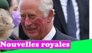 Le prince Charles dévoile la « future » gamme de la famille royale alors que des plans allégés sont