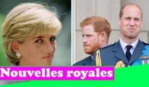 Le prince Harry démonte le plan de Diana pour que Duke devienne «l'ailier fiable» de William