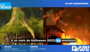 Expérience terrifiante garantie : Airbnb propose aux fans de Shrek de passer la nuit dans son marais en 2023 !