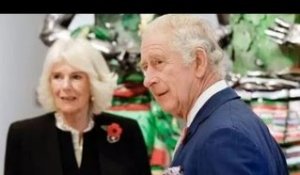Camilla "est incroyablement inquiète" de l'impact des mémoires du prince Harry sur le roi Charles