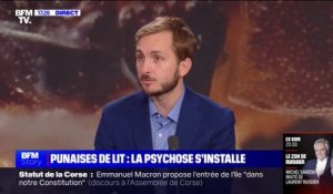 Punaises de lit: "La puissance publique doit s'emparer du problème", pour François Piquemal (LFI)
