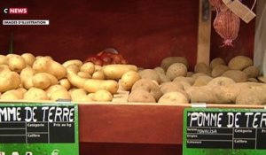 Le prix du kilo de pommes de terre est passé au-dessus des 2 euros