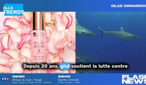 Octobre rose : Des plaisirs solidaires pour soutenir la lutte contre le cancer du sein