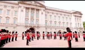 Bonne chance!' Les Queen's Guards rendent un hommage "spécial" aux Lionnes avant la finale de l'Euro