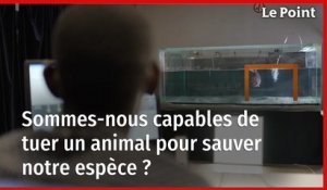 Sommes-nous capables de tuer un animal pour sauver notre espèce ?