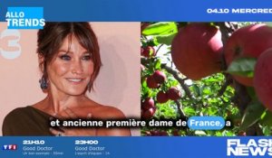 OK. "Ces célébrités ont surmonté le cancer du sein, à l'instar de Carla Bruni Sarkozy - les photos sont saisissantes !"