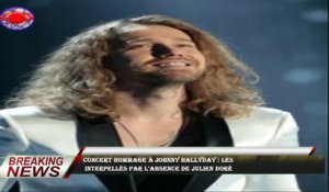 Concert hommage à Johnny Hallyday : les  interpellés par l'absence de Julien Doré