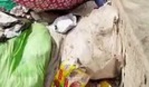 Recyclage des déchets en Inde