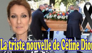 Extrême tristesse ! Les Français ont profondément pleuré la triste nouvelle de Céline Dion.
