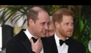 Prince William : ce membre de la famille royale britannique qui va le réconcilier...