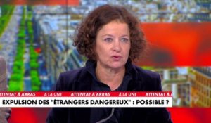 Élisabeth Lévy sur l'expulsion des «étrangers dangereux» : «Cela suppose de dénoncer au moins une partie de la Convention européenne des droits de l'homme»