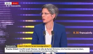 Expulsions des étrangers radicalisés : "On bascule dans le fascisme" en concentrant le débat "uniquement sur les étrangers", selon Sandrine Rousseau