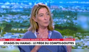 Céline Pina : «Qui pourrait critiquer un gouvernement qui essaie de récupérer ses otages»