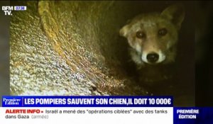 Les pompiers sauvent son chien dans une canalisation, cet homme reçoit une facture de plus de 9000 euros