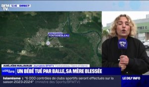 Essonne: un nourrisson de trois mois tué par balle, sa mère blessée