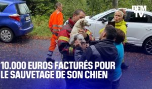 En Suisse, les pompiers lui facturent 10.000 euros pour sauver son chien