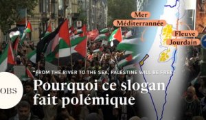 "From the river to the sea, Palestine will be free" : pourquoi ce slogan fait polémique