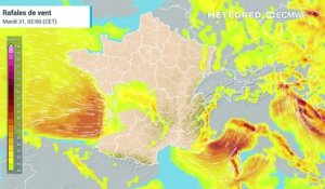 Tempête Ciaran en France : arrivée dès la soirée de mercredi 1er novembre 2023