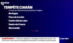 Tempête Ciarán: aucun TER ne circuleront ce mercredi 1er novembre au soir dans cinq régions France à cause de la vigilance pour vents violents