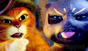 Duel de chats voleurs | Le chat potté | Extrait VF