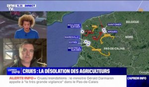 "On a quasiment tout perdu": un éleveur de moutons du Pas-de-Calais témoigne des ravages des inondations pour son exploitation