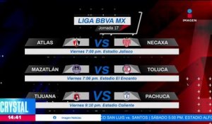 Todo se define en la última jornada de la Liga MX