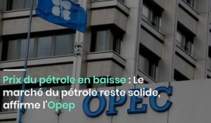 Prix du pétrole en baisse : Le marché du pétrole reste solide, affirme l'Opep